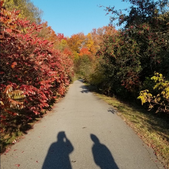 Meet your Posher, Eloise - Picture 7 of 12